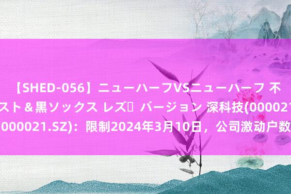 【SHED-056】ニューハーフVSニューハーフ 不純同性肛遊 3 黒パンスト＆黒ソックス レズ・バージョン 深科技(000021.SZ)：限制2024年3月10日，公司激动户数为161002户