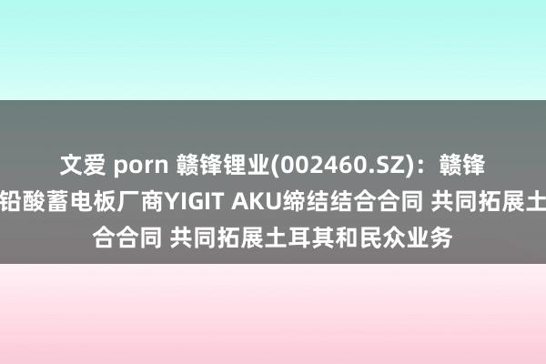 文爱 porn 赣锋锂业(002460.SZ)：赣锋锂电拟与土耳其铅酸蓄电板厂商YIGIT AKU缔结结合合同 共同拓展土耳其和民众业务