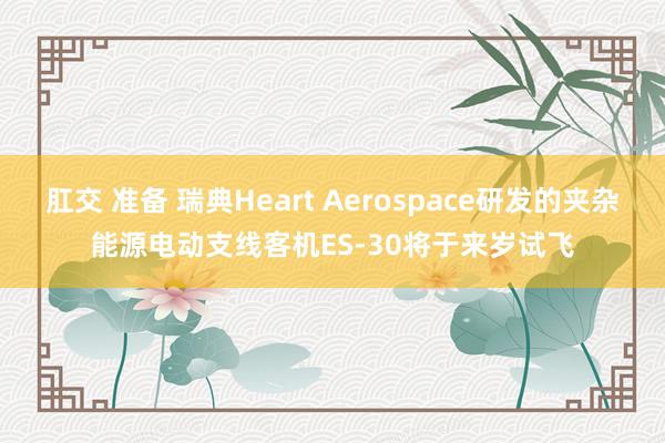 肛交 准备 瑞典Heart Aerospace研发的夹杂能源电动支线客机ES-30将于来岁试飞