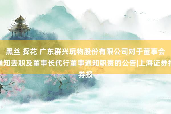 黑丝 探花 广东群兴玩物股份有限公司对于董事会通知去职及董事长代行董事通知职责的公告|上海证券报